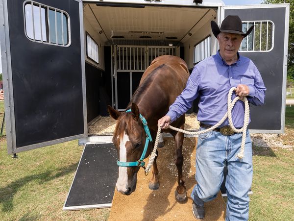 A man is holding horse