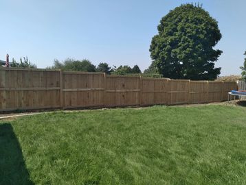 A sunny backyard with a wooden fence and green grass.