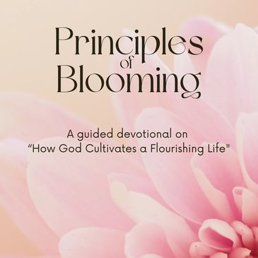 Principles of Blooming devotional on flourishing life.