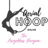 Aerial Hoop Online Info...