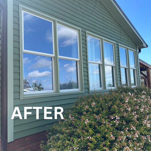 A freshly painted house exterior with green siding and white-trimmed windows under a clear blue sky.