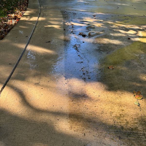 Wet driveway with scattered autumn leaves and shadows from nearby trees.