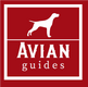 Avian Guides