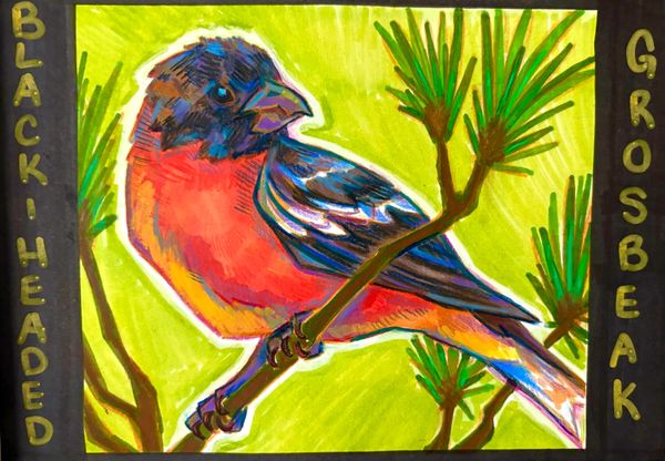 The Arrival of Spring by Seán Young (EndersaGlitch)