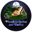 Mountain Geckos and Exotics 