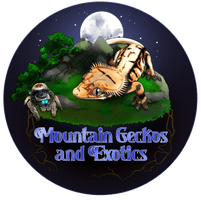 Mountain Geckos and Exotics 