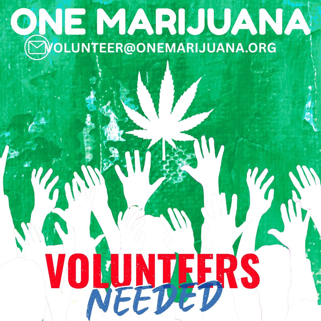 ONE MARIJUANA