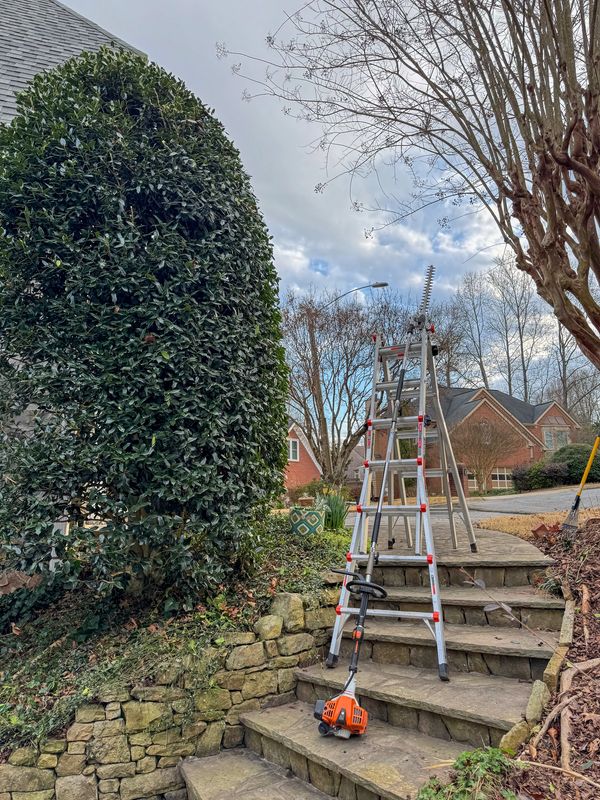 Bush Trimming, Shrub Trimming, Landscape Service