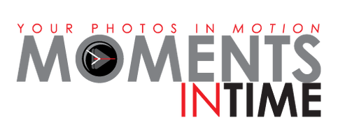 Moments in Time Videos