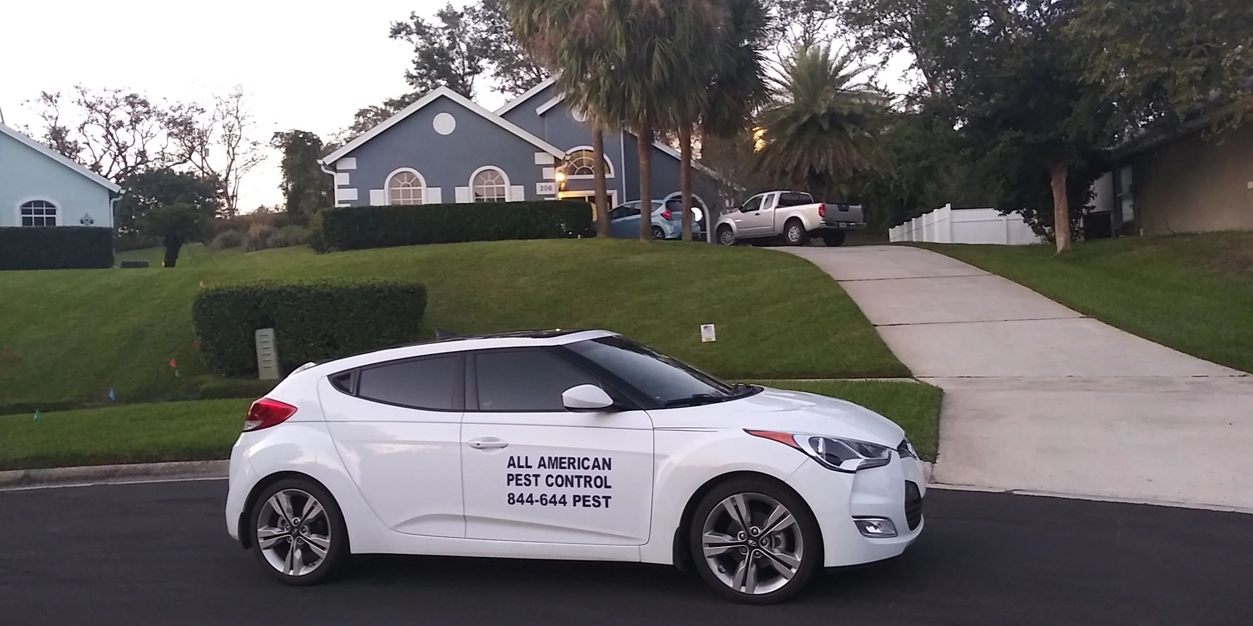 All American Pest Control