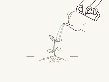 Hand watering a small plant sprout with a watering can in a simple line drawing.