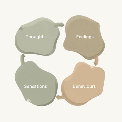 The CBT Cycle: How our thoughts, feelings, sensations, and behaviours connect