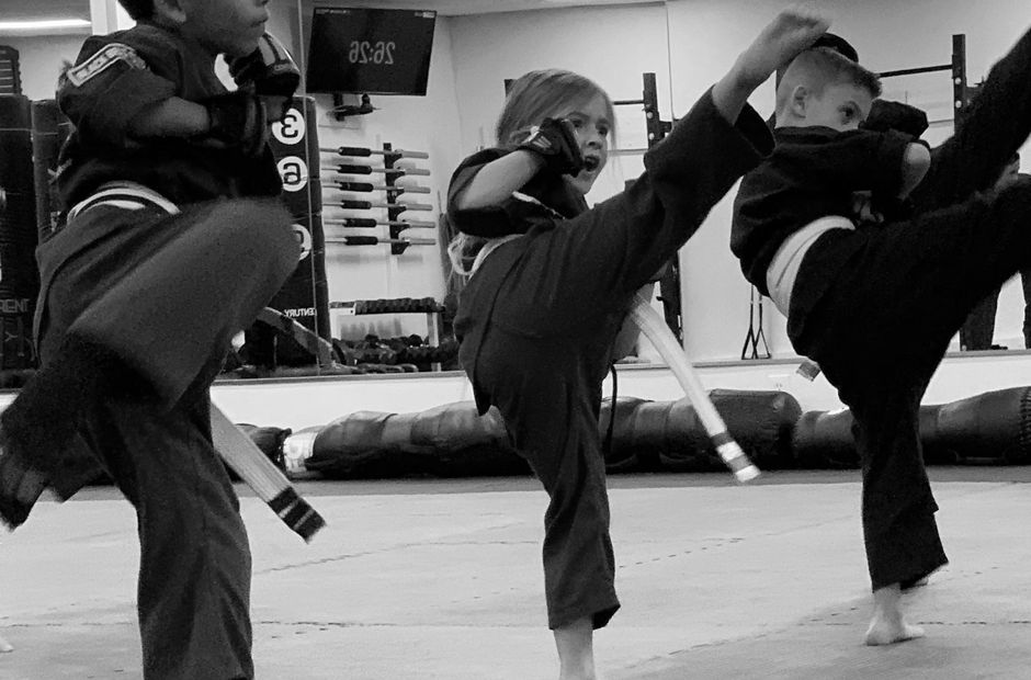 MMA High Kick