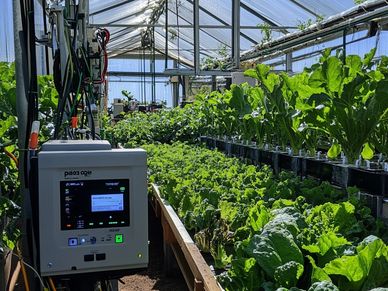 Automated Irrigator Controller