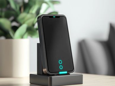 Smart Battery Charger