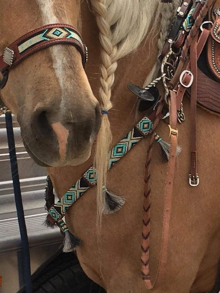 horse tack and accessories