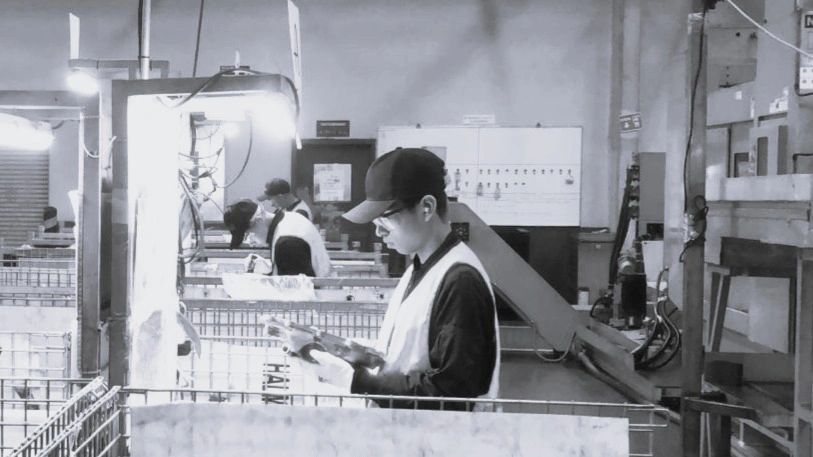 KUALI SORTING SORTEADORA TERCERIA CLUSTER AUTOMOTRIZ BAJIO GUANAJUATO QUERETARO  AGUASCALIENTES SLP