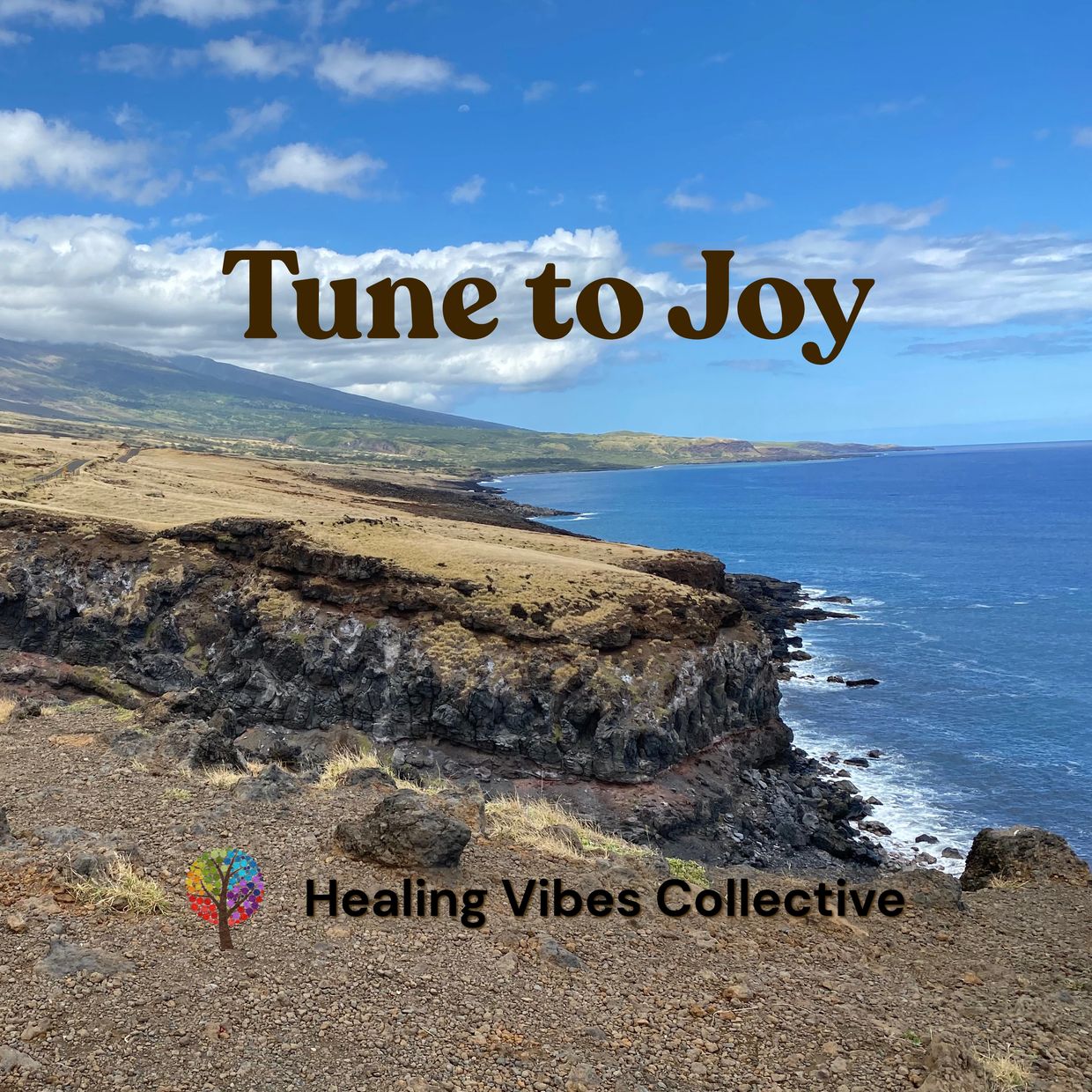 The coastline of Maui.