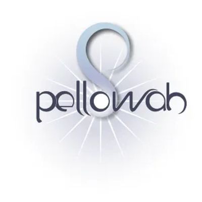 Logo with shiny silver infinity symbol and text 'pellowab'.