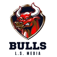Media Bulls