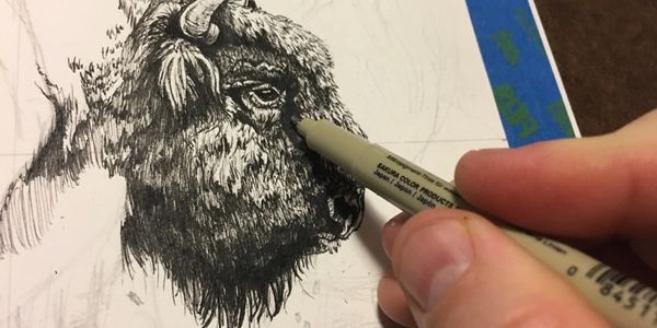 bison in process