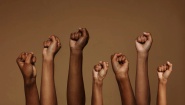 Life Evolved Community development corporation 