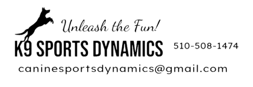 Best Friend Dog Training