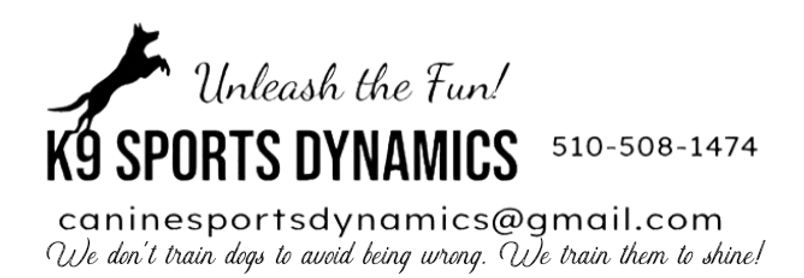 Best Friend Dog Training