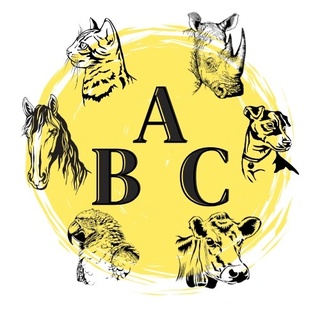 Listas ABC