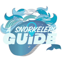 A-snorkelers-guide