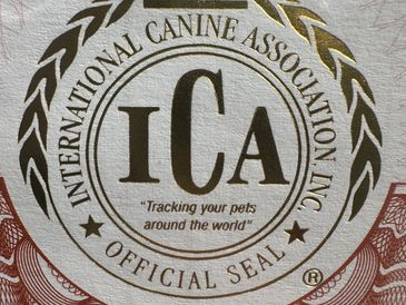 International Canine Association (ICA) official seal