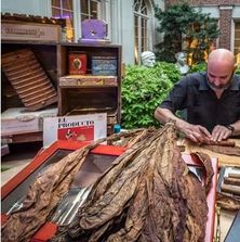 Kenneth DeMichele Rolling Cigars at an event for Fumar Cigars TX