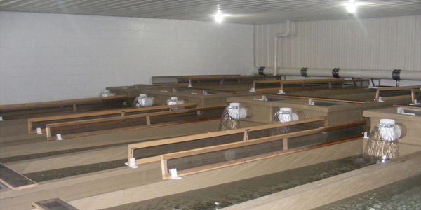 Specialty Items - Montana Fiberglass Inc. | Montana Fiberglass Inc.