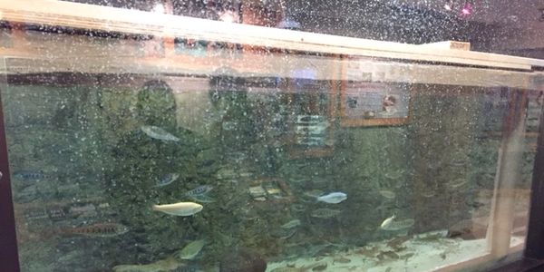 Specialty Items - Montana Fiberglass Inc. | Montana Fiberglass Inc.