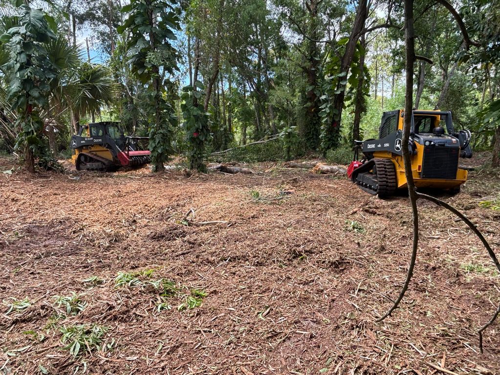 Land Clearing 
