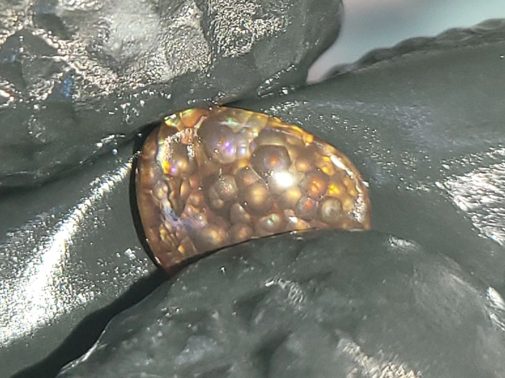 DinoStone #80 First Reveal: Million-year-old prehistoric gems