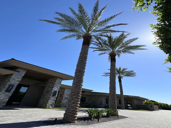 Tree Removal, Tree Trimming, Palm Tree Trimming