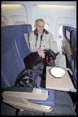 Dogtravel Company Air Travel