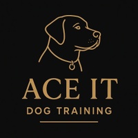 Ace It Dog Training