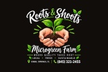 Roots and Shoots