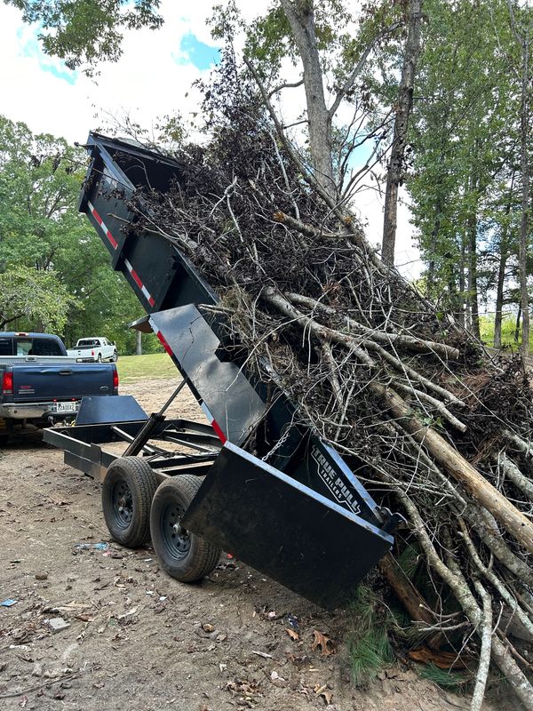 Dumpster rental for brush removal