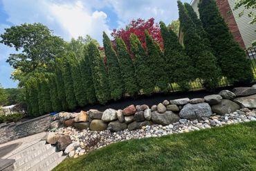 A stone-bordered garden with tall evergreen trees and a mix of colorful rocks.