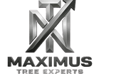 Maximus Tree Experts