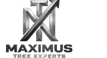 Maximus Tree Experts