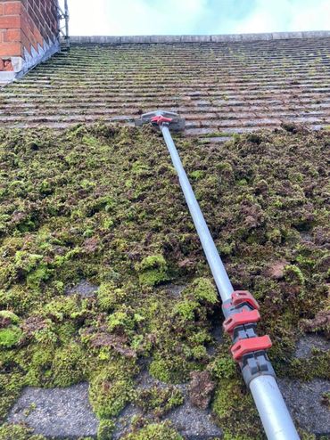 roof moss removal roof cleaning 