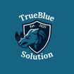 TrueBlue Solution