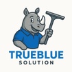 TrueBlue Solution