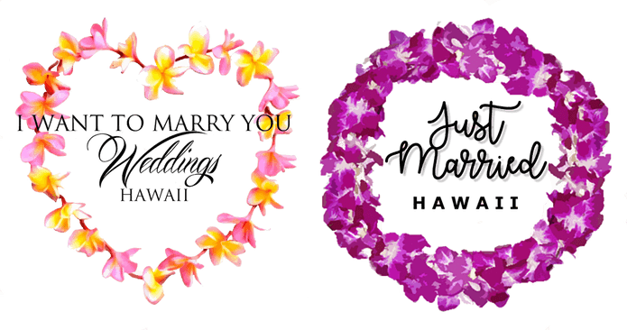 Dream Hi weddings HAWAII