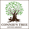 Connie's Tree