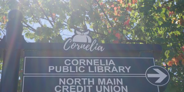 Cornelia Library welcomes new staff members - Now Habersham